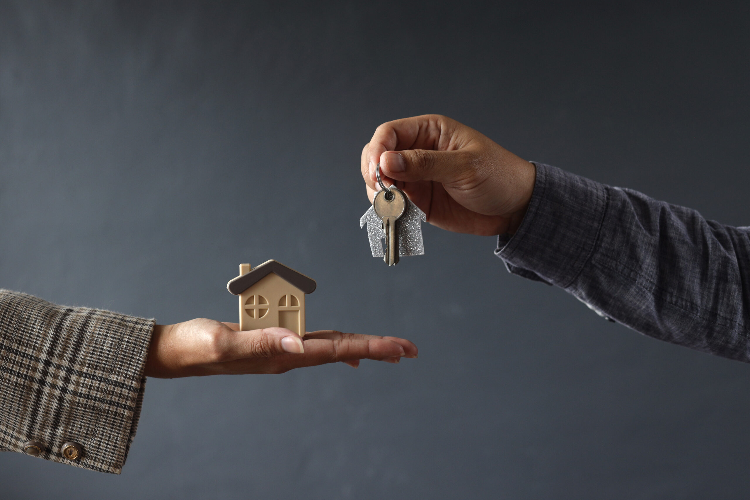 Vip Realty ofrone vende pune agjent imobiliar